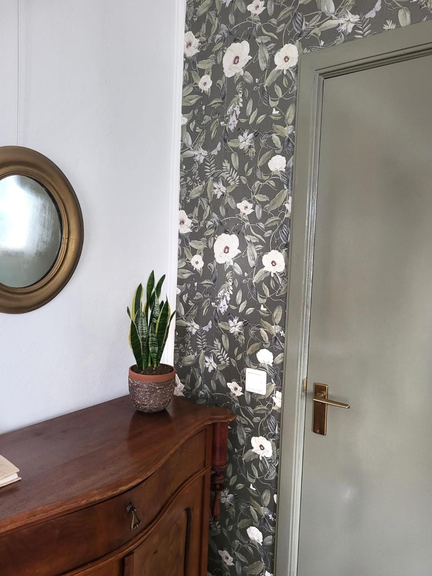 Logement Hartsuiker Hoogeveen Εξωτερικό φωτογραφία
